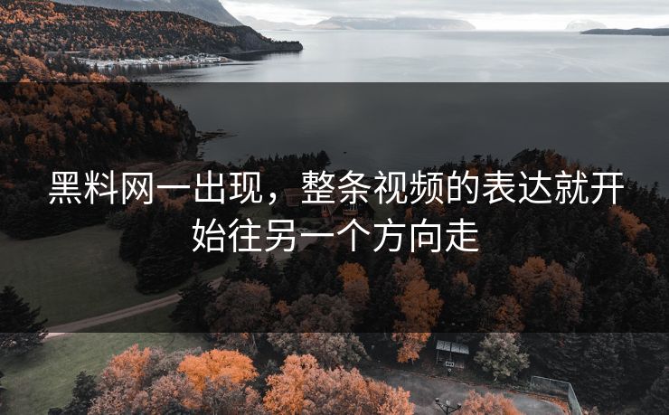 黑料网一出现,整条视频的表达就开始往另一个方向走 黑料网一出现,整条视频的表达就开始往另一个方向走