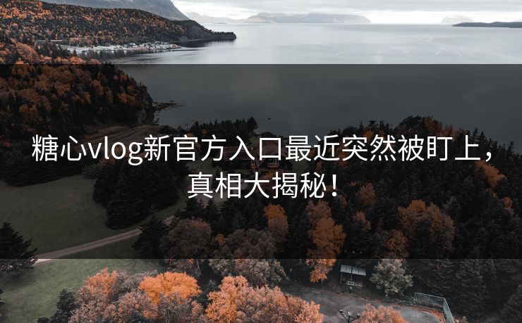 糖心vlog新官方入口最近突然被盯上，真相大揭秘！